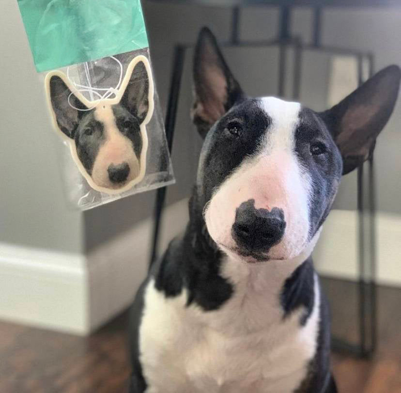 Personalized Bull Terrier car air freshener - custom pet air freshener shown next to the matching black and white Bull Terrier, perfect gift for dog lovers and pet parents.