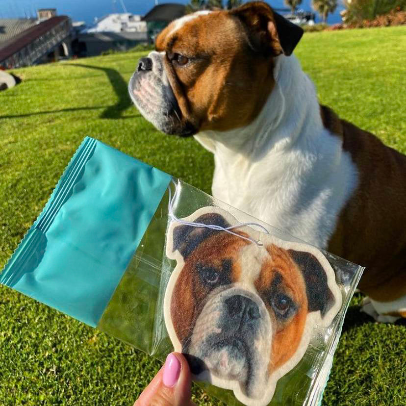 Custom dog air freshener - handcrafted car accessory featuring a realistic print of your pet, shown with the original dog for a fun and personal touch.