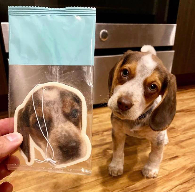 Personalized pet car air freshener - custom scented ornament designed to match your pet’s photo, displayed with the real Corgi for a unique and heartfelt keepsake.