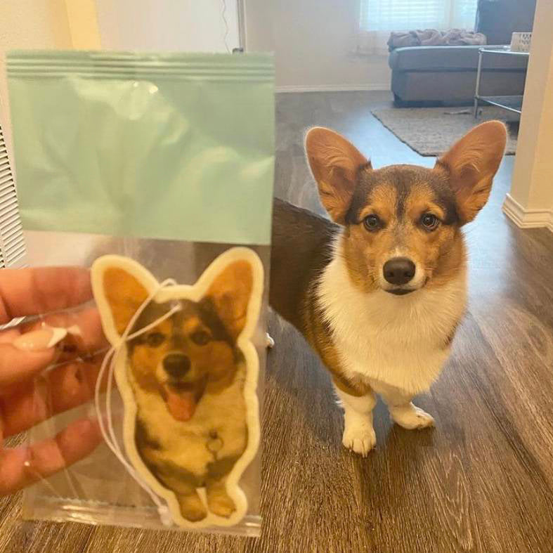 Custom photo car air freshener featuring a Corgi dog - personalized pet air freshener shown next to the real-life dog it’s based on, perfect for dog lovers and pet owners.