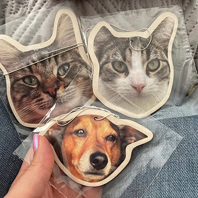 Custom pet face car air fresheners - personalized air fresheners featuring realistic photos of two cats and a dog, perfect for pet lovers and unique car accessories.